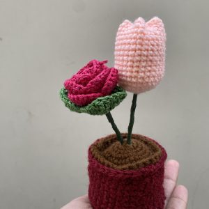 Flower Pot